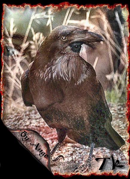 MoN CoRbEaU Et MoI.