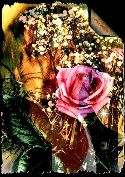 UnE RoSe, Un AnGe.